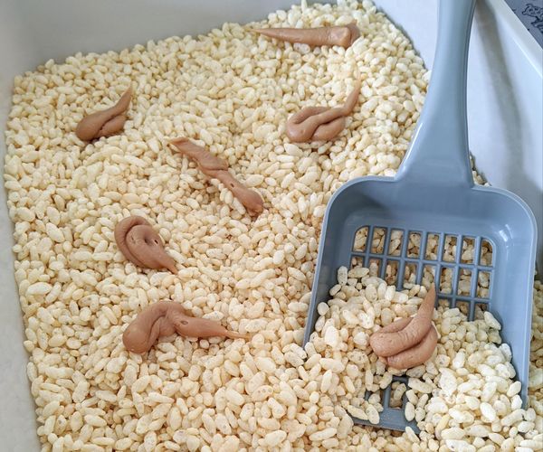 Easy Litter Tray Fudge!