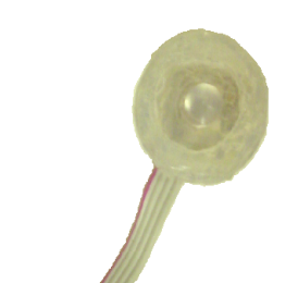 Measure Muscle Sounds! Part 2: Silicone Embedding