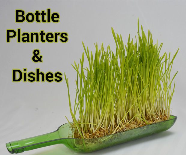 How to Cut Bottles in Half (Lengthwise)