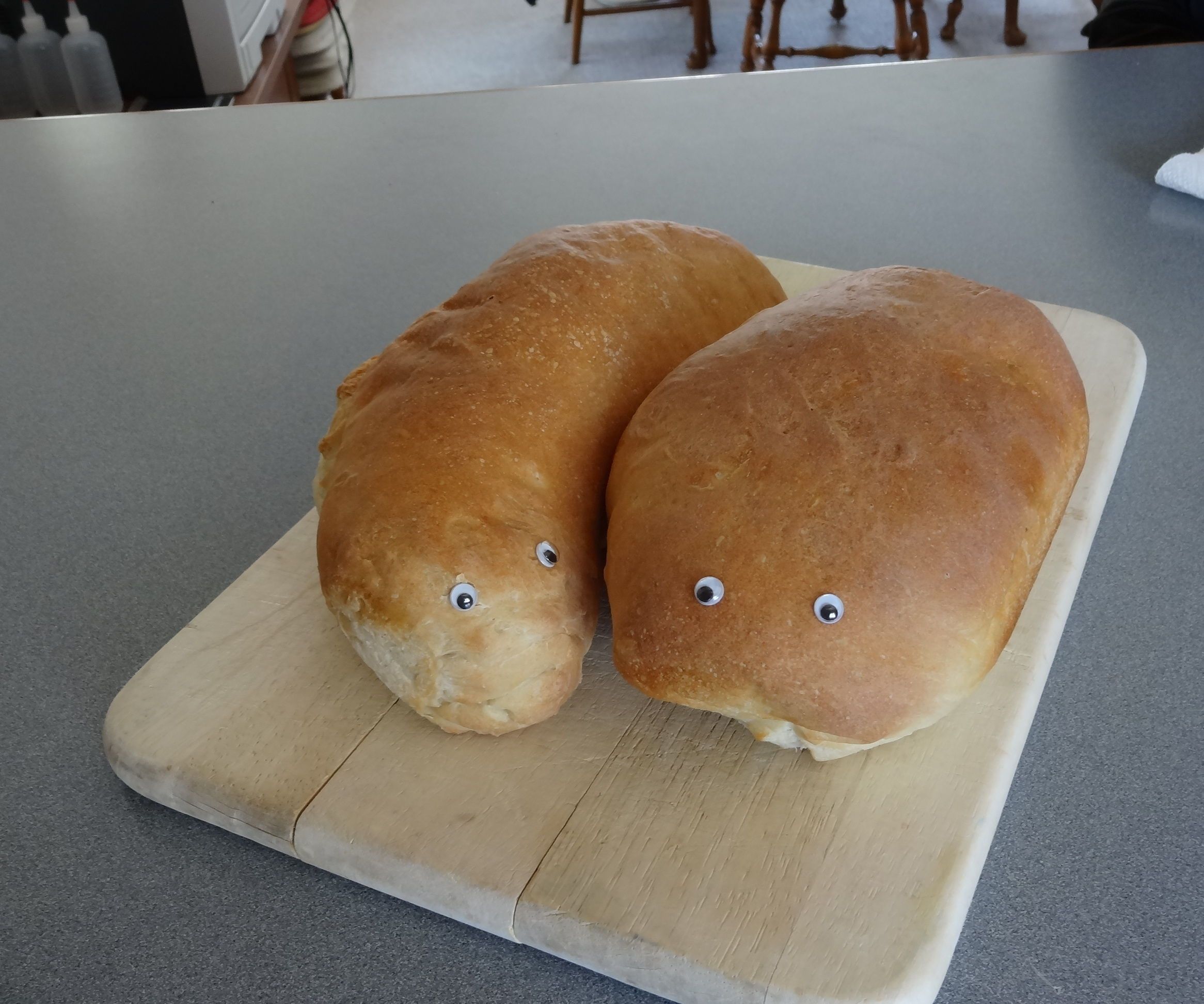 Soft Crust French / Italian Yeast Bread