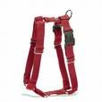 Leashes