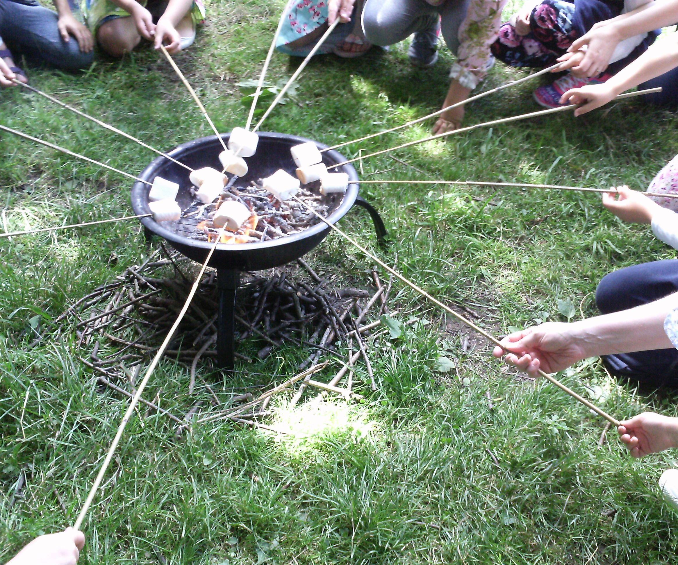 Long Skewers With Replaceable Tips