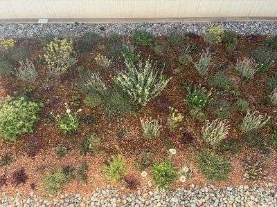 Let Nature Do the Rest - Final Thoughts