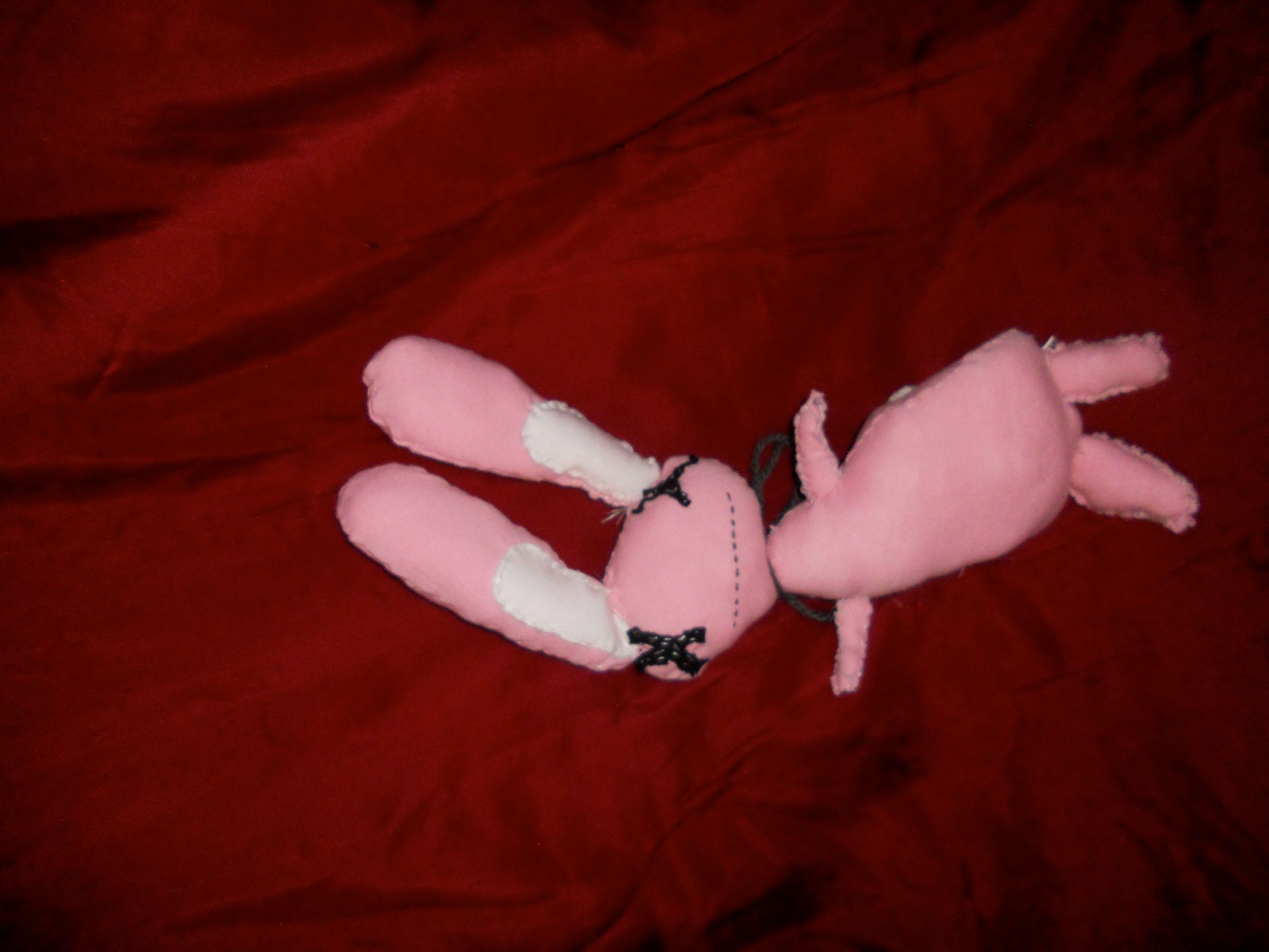 Johnny B. the Bunny