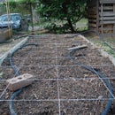 Square Foot Gardening Planting Guides