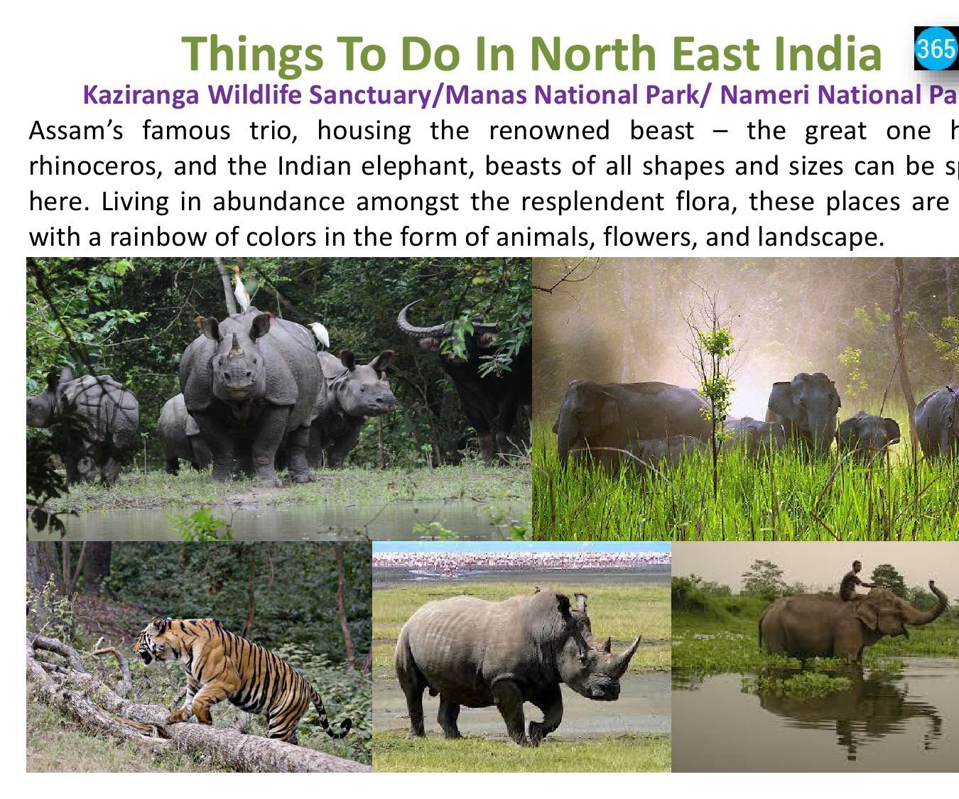 Things to Do in North East India