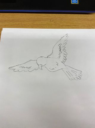 Draw A Bird Using Paper How To Draw Bird On Paper