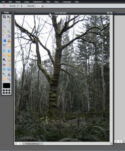 Slender Man Insertion