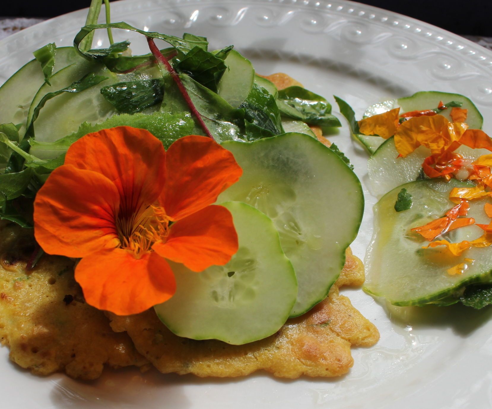 Car Greenhouse Growing Food, Extending the Season and Succeeding With