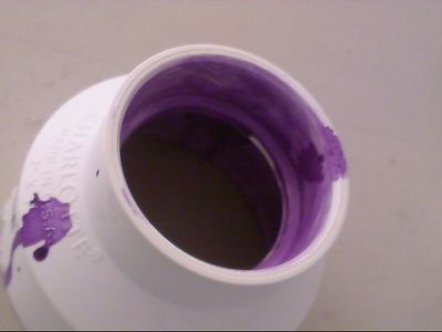 Purple Primer!