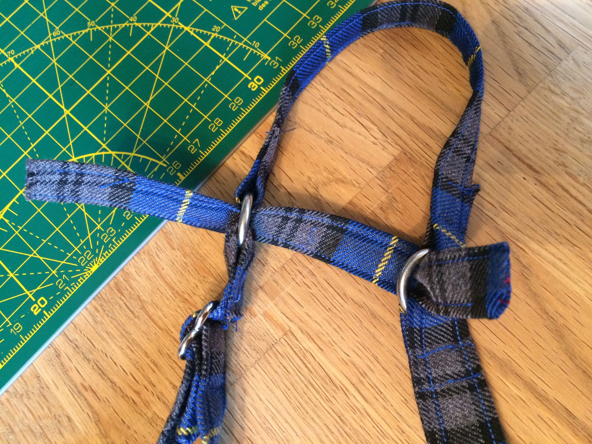 Head Halter for Dogs 6 Steps (with Pictures) Instructables