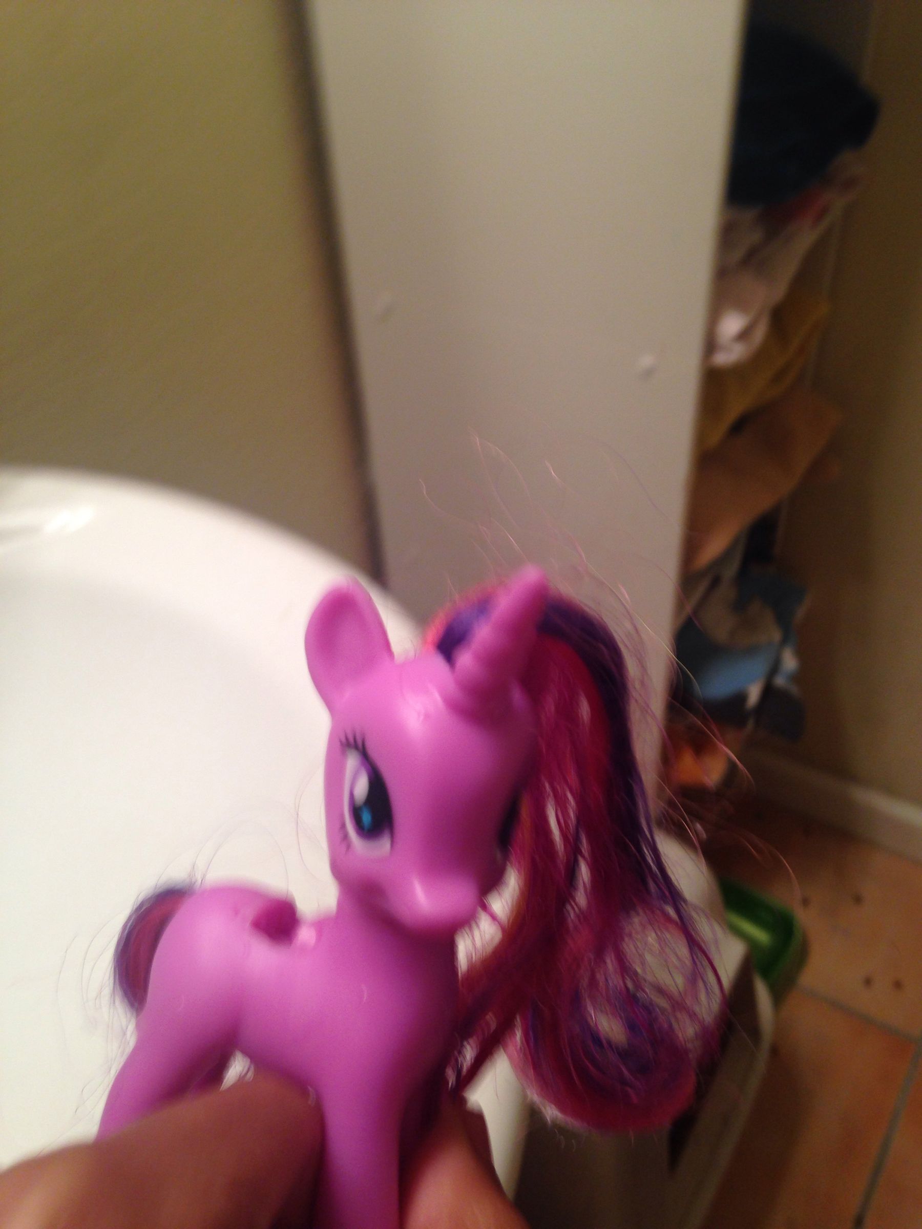 Shampooing Your Pony's Mane 