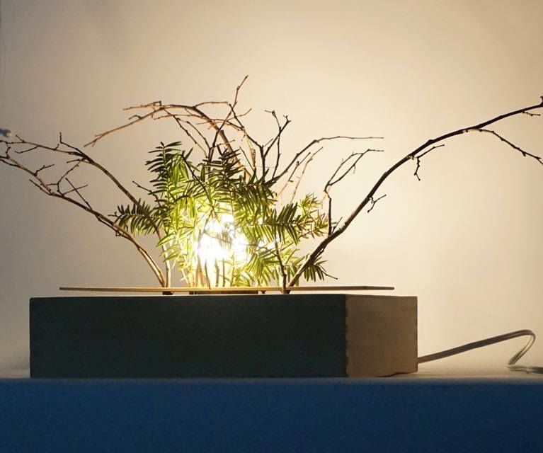 Forest Lamp