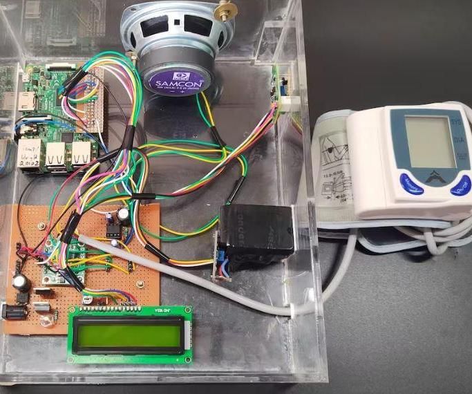 BP Classification & Announcing Results Over Voice Using Pi3
