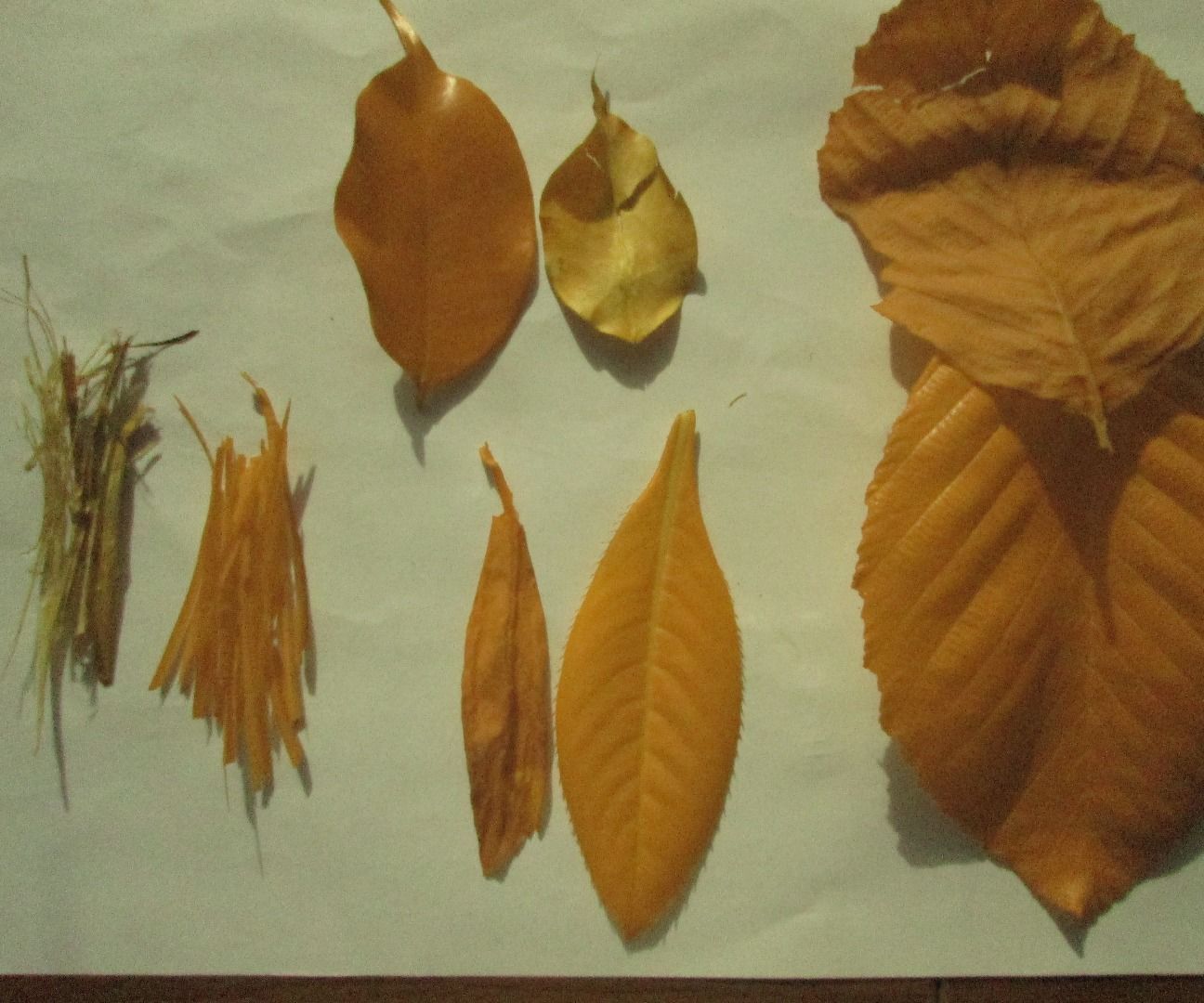 Multispectral DIY Camera Calibration