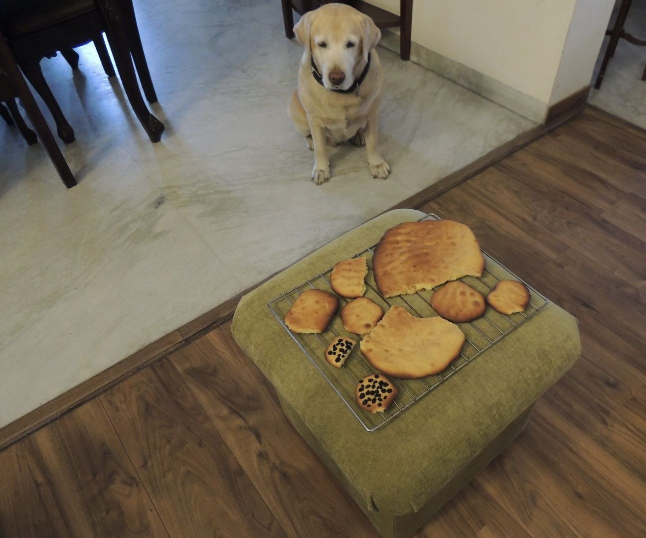 Fluffy Sugar Cookies Without Butter