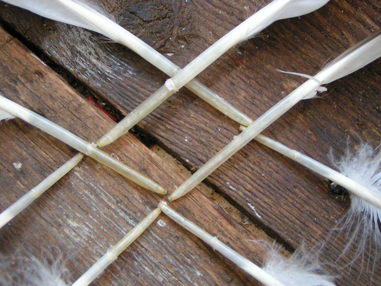 The Feather Kite: an Experiment in Progress.