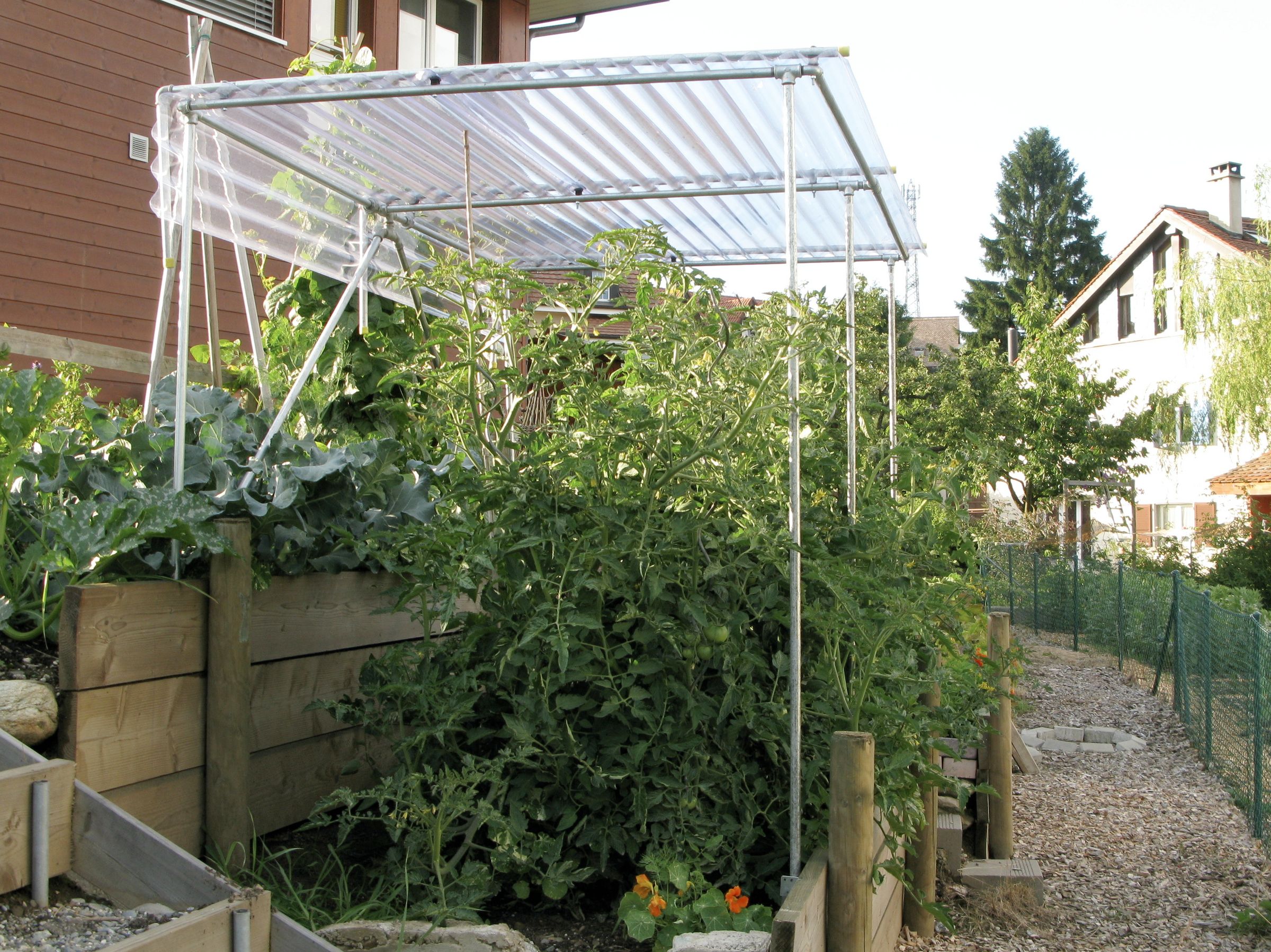 Build a Shelter for Growing Tomatoes 9 Steps (with Pictures