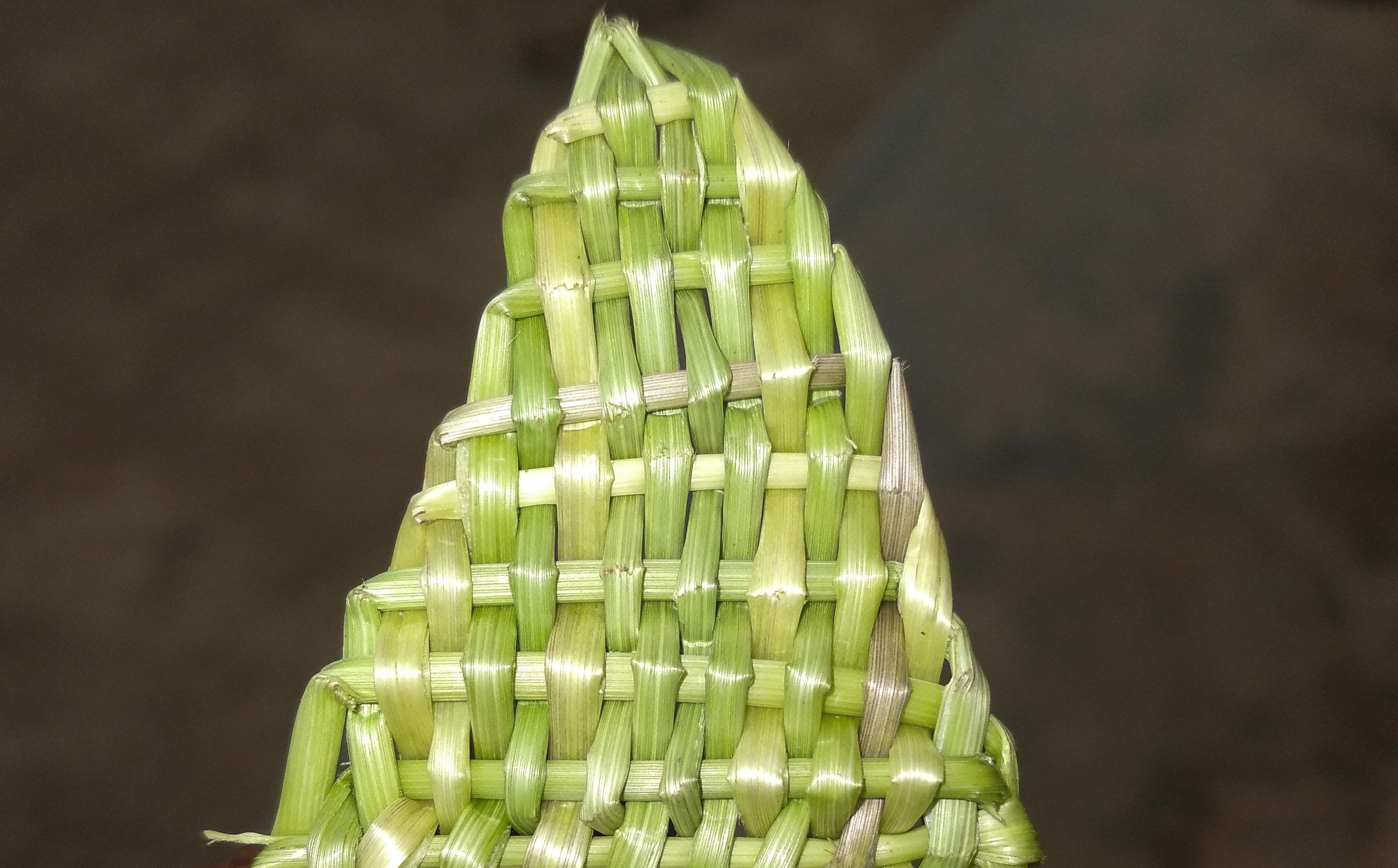 Knitting  Weed