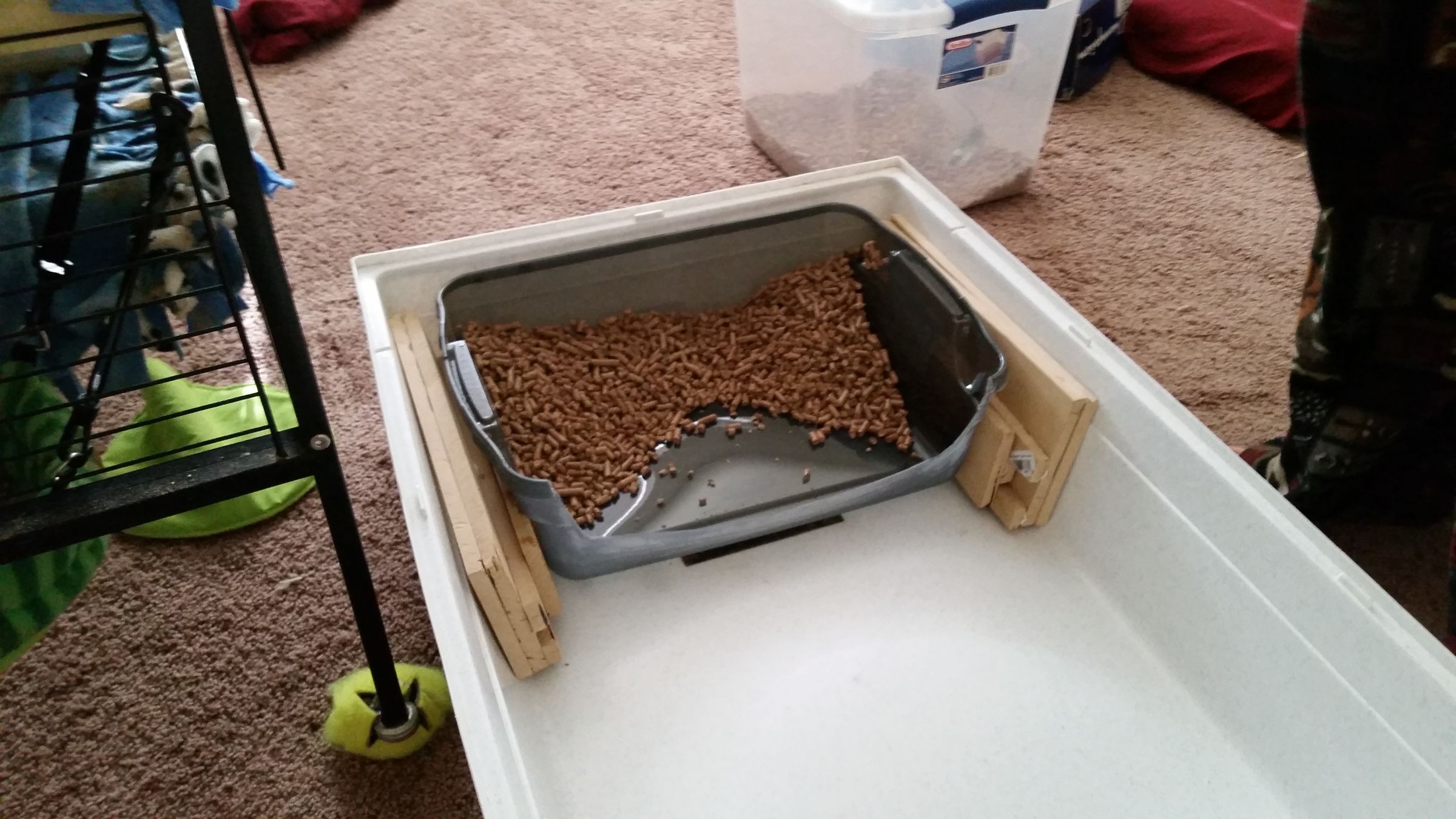 Ferretproof a Litter Pan With ULPM! 8 Steps Instructables