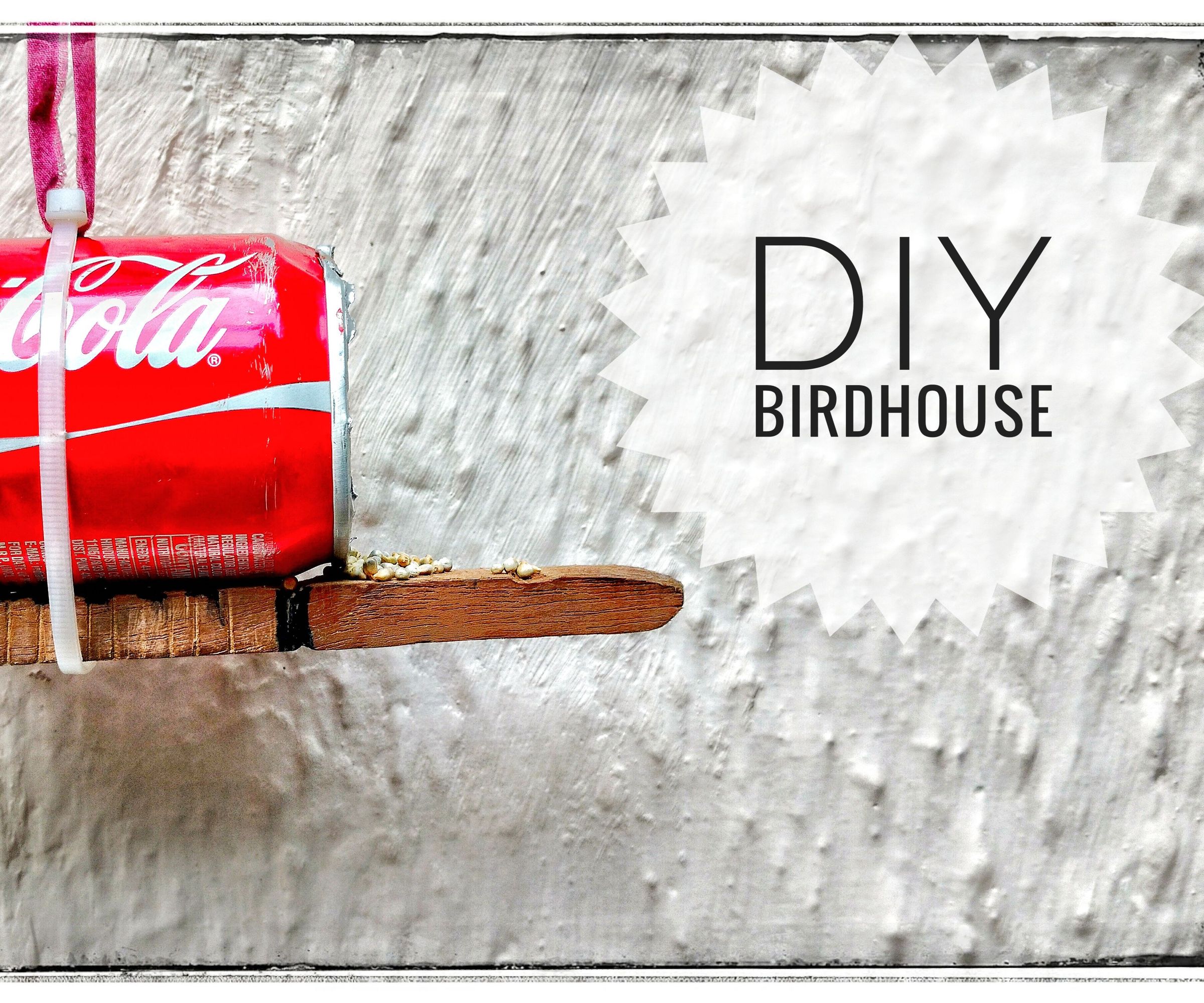 DIY Birdhouse: Let Birds Beat the Heat This Summer
