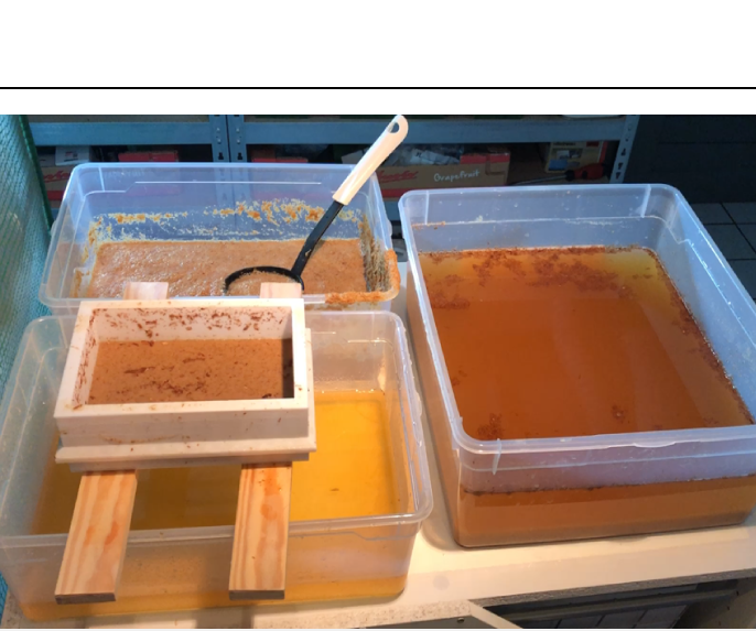 Papermaking: Wood to Paper at Home!