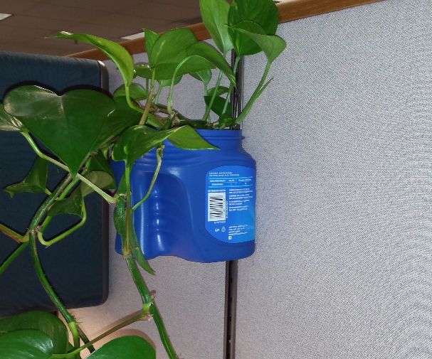 Planter, Recycle, Decorate, Office