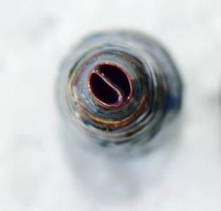 Seal Your Beads