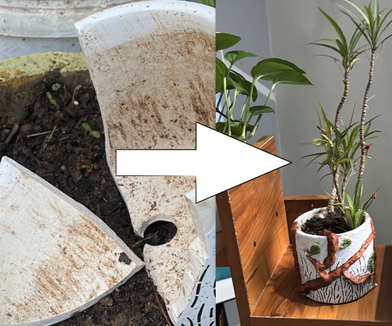 Trash to Treasure: Aesthetic Upcycled Planter Pot
