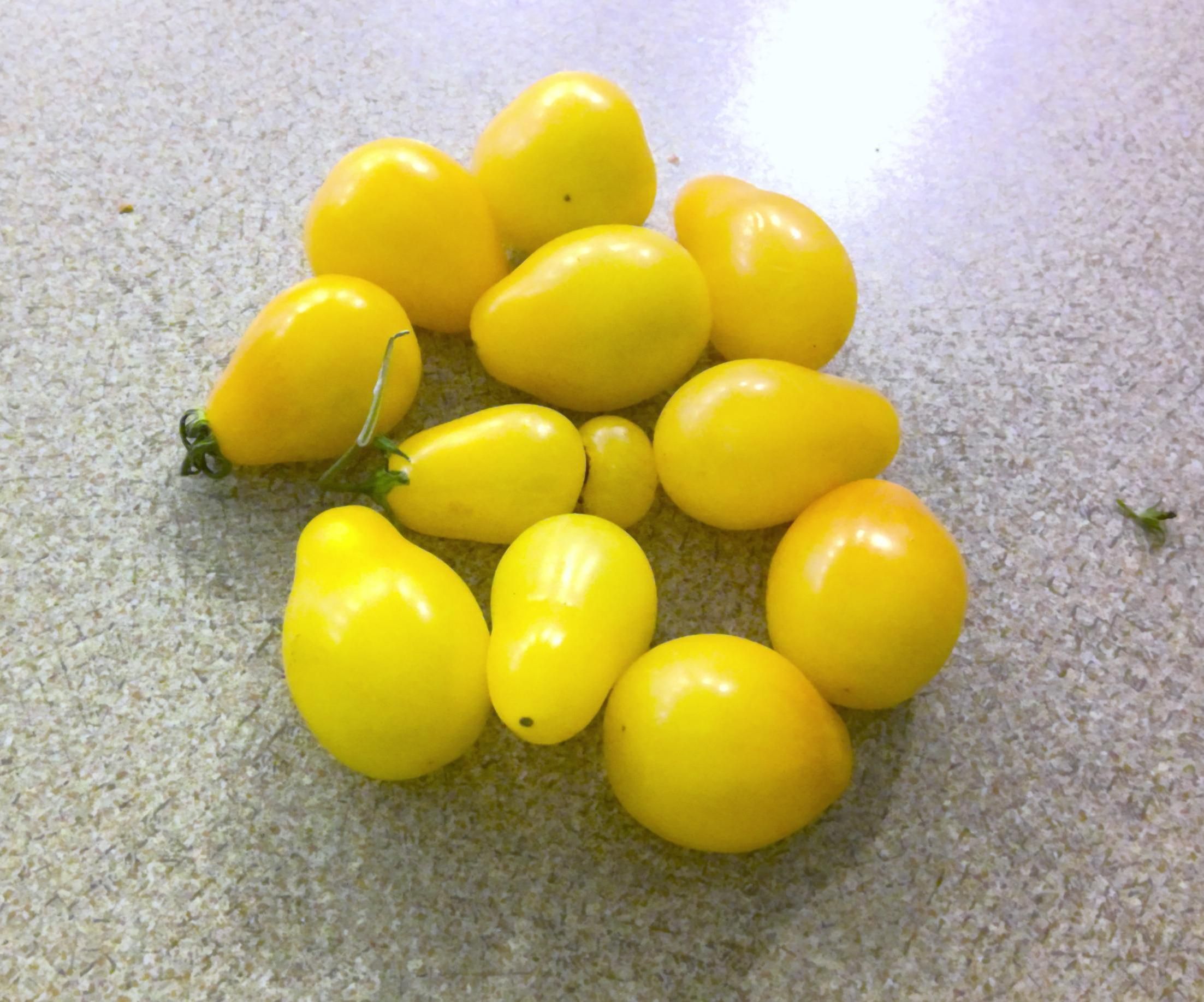 Easy DIY Vegetable Harvester.