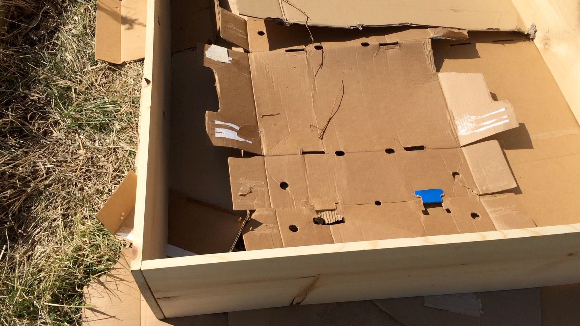 5 Great Ways to Use Cardboard in the Garden 5 Steps Instructables