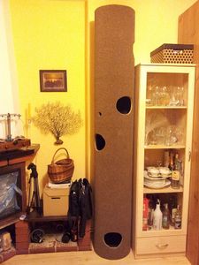 The Cat Tower