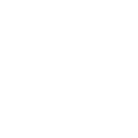 download {{ file.name }}
