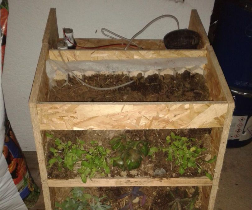 Vertical Garden & Weather Powered by Intel Edison