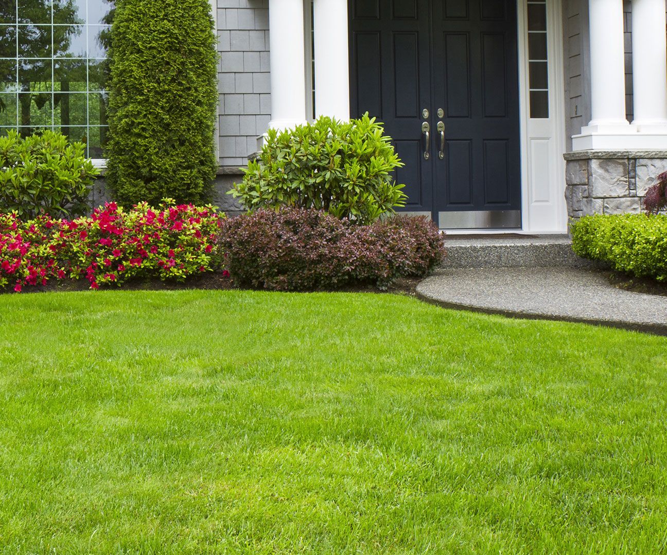 Selecting an Ideal Tree Support Company for Your Own Yards