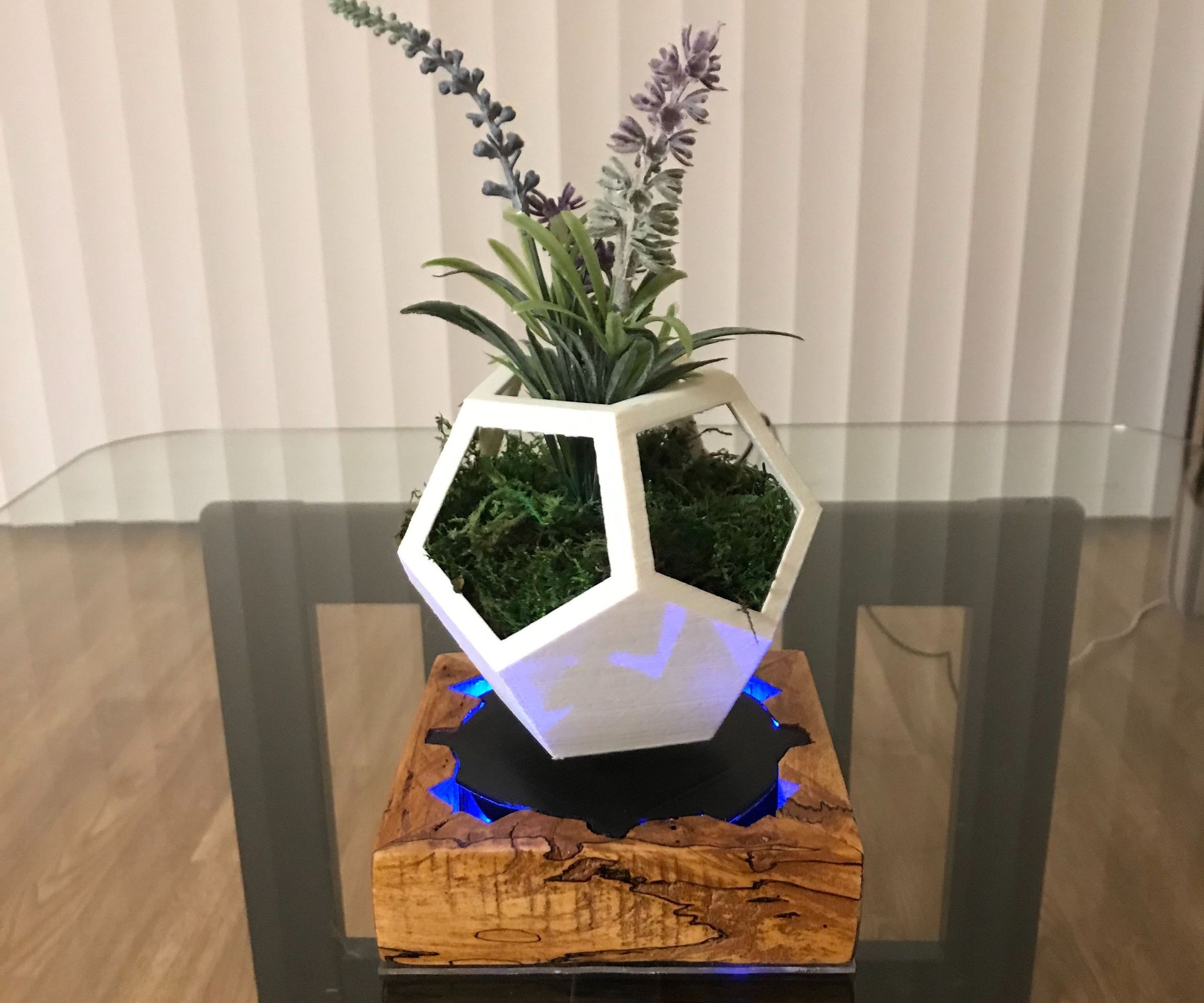 Magnetic Levitating Flower Pot