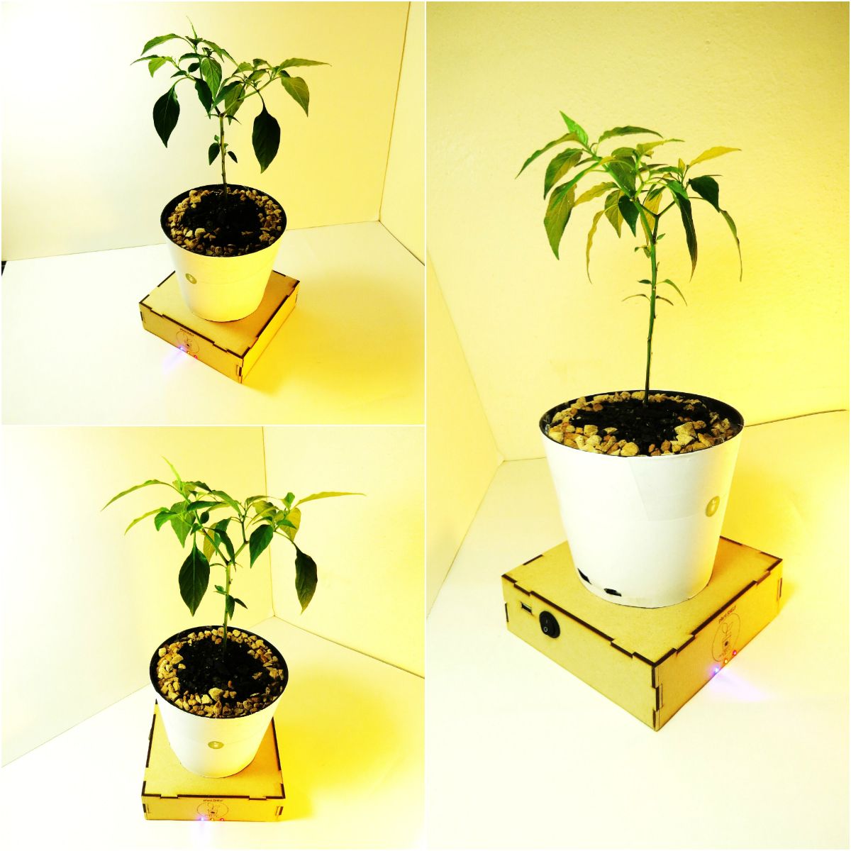 The Plant Shelf Basic 4 Steps Instructables