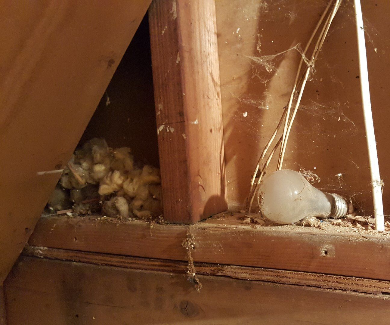 Scary Stairwell to Playful Pathway