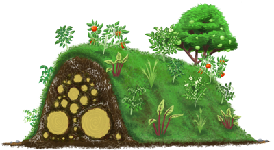 Never Water Plants Again With Hugelkulture!