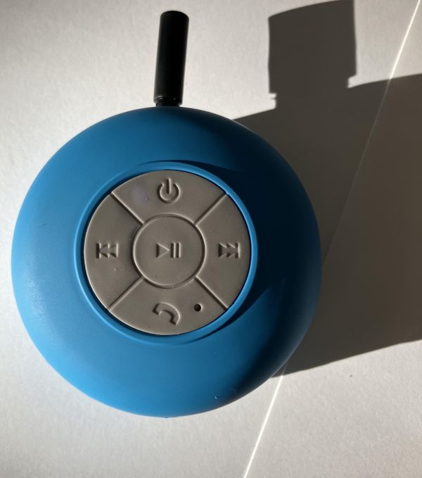 Adapted Speaker Toy