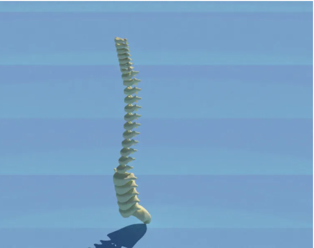 How to Design the Spine Using 3D CAD Software