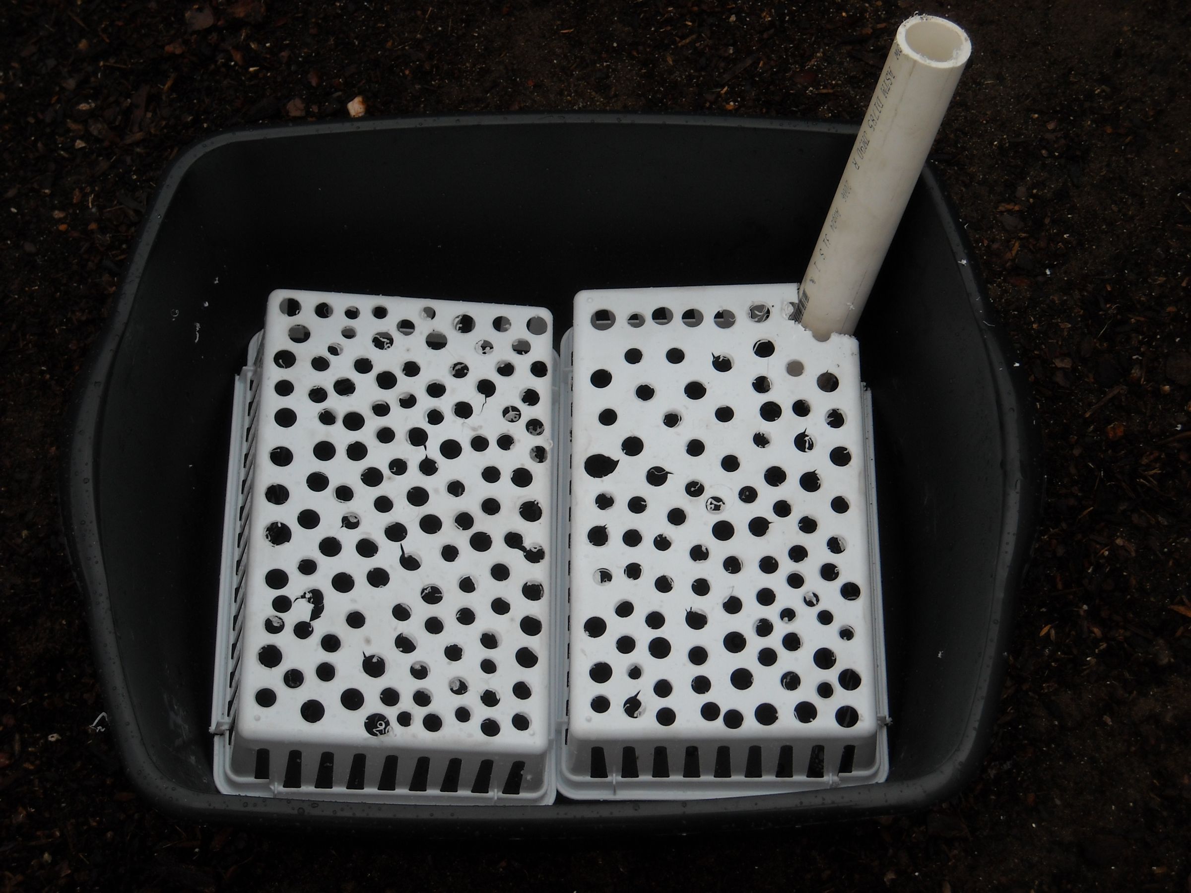 TerraHydro Boxes, the Ultimate SelfWatering Vegetable Container System