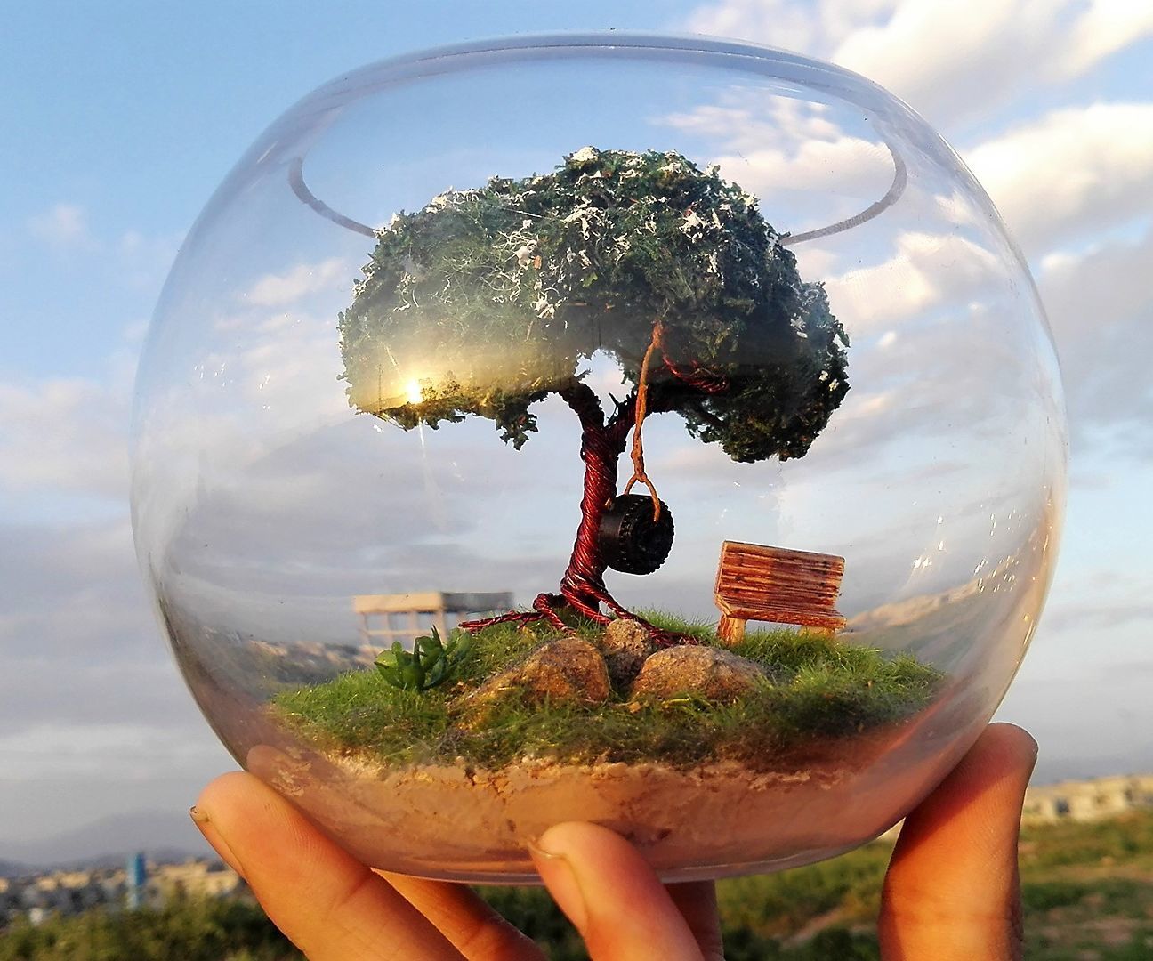 Alone Tree | Terrarium | Diorama