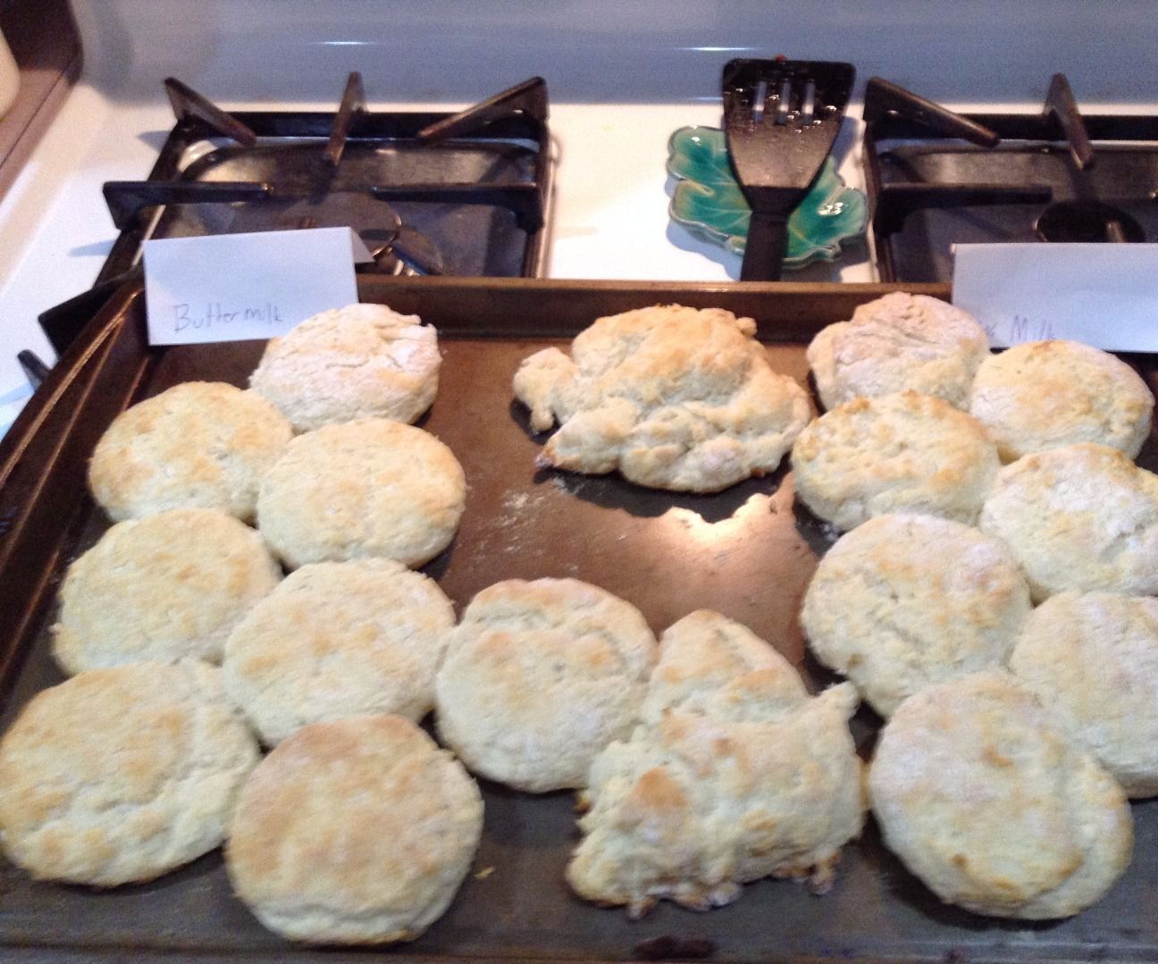 Krusteaz Biscuits: Milk V.S. Buttermilk