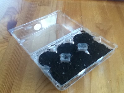 Mini Greenhouse With Plastic Egg Carton