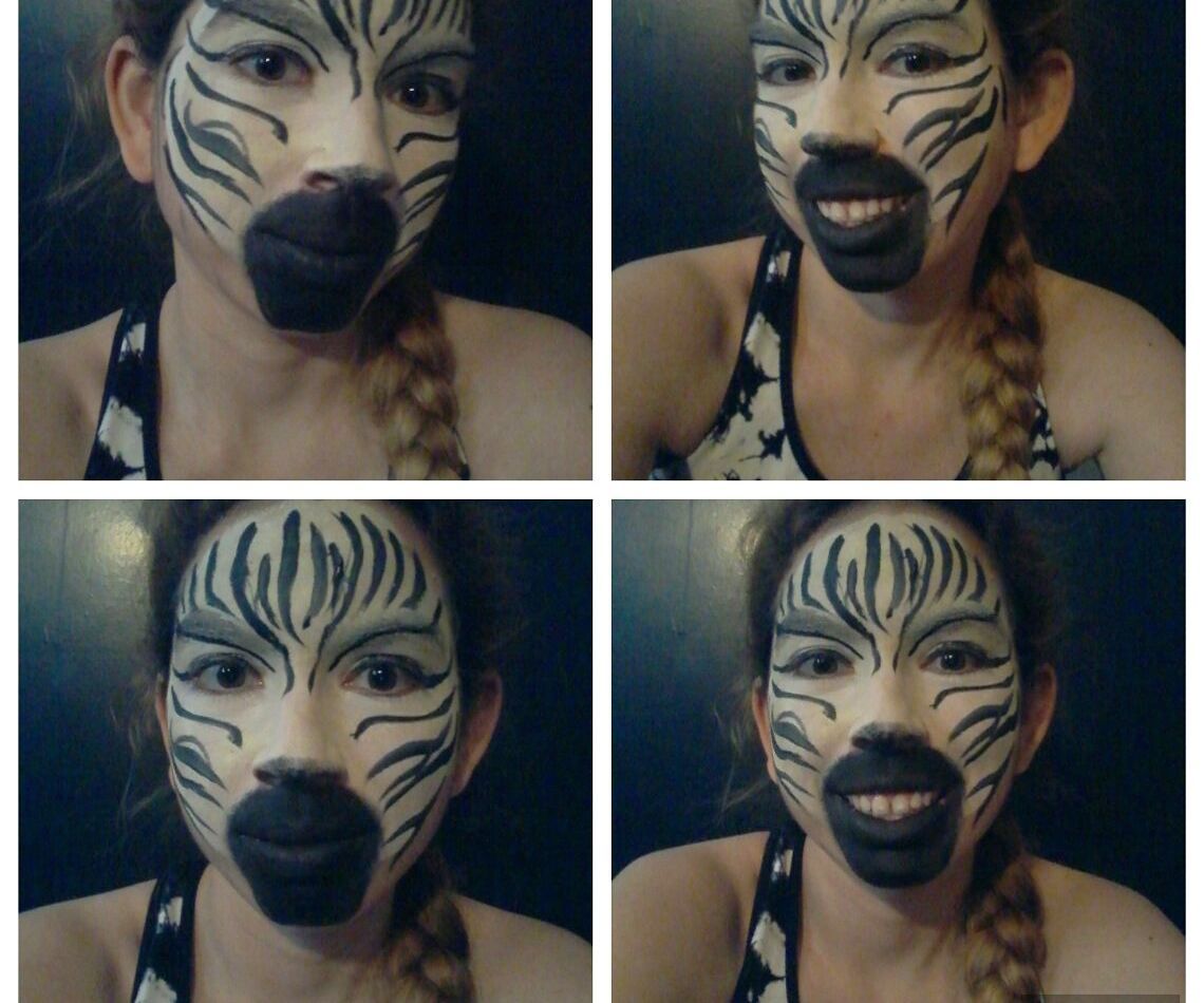 Zebra Face Paint