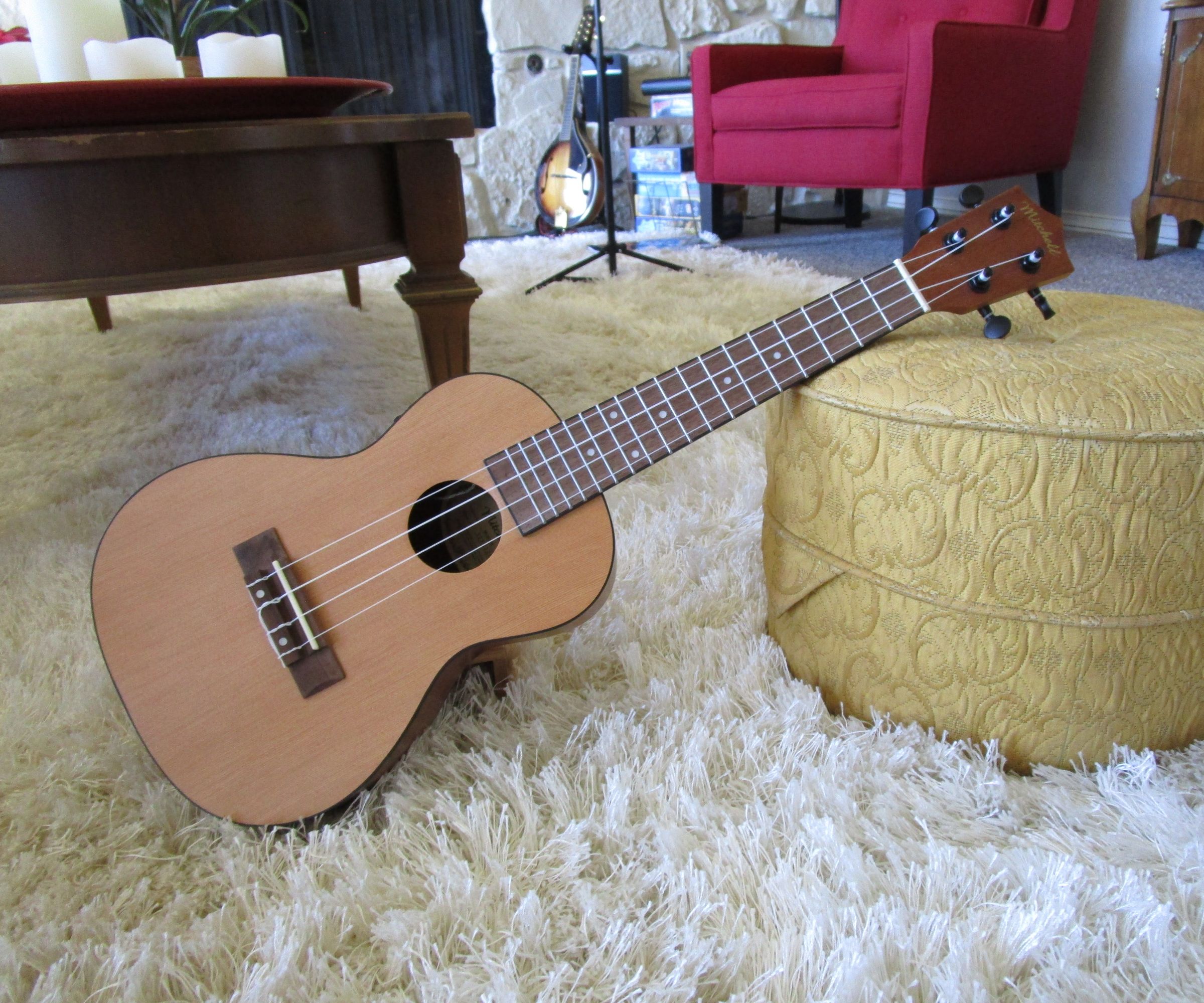 DIY Ukulele Pick Holder