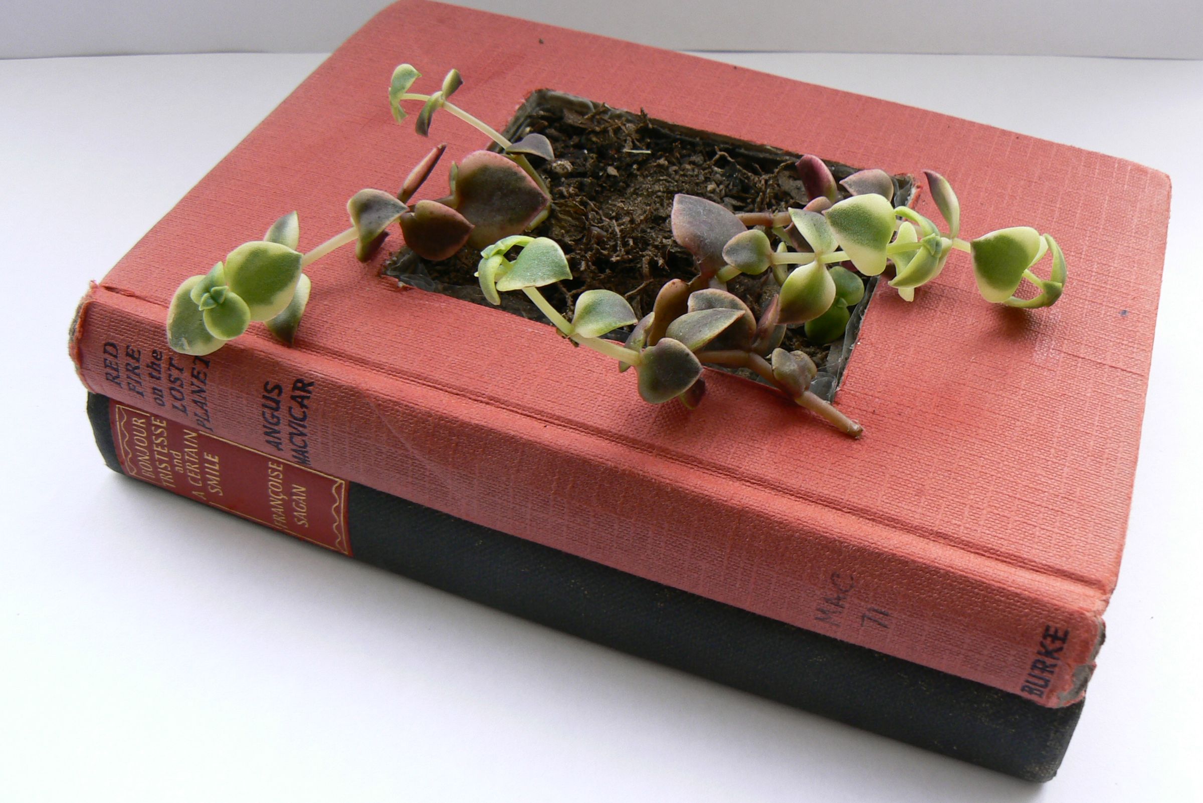 Recycled Book Planters : 6 Steps (with Pictures) - Instructables