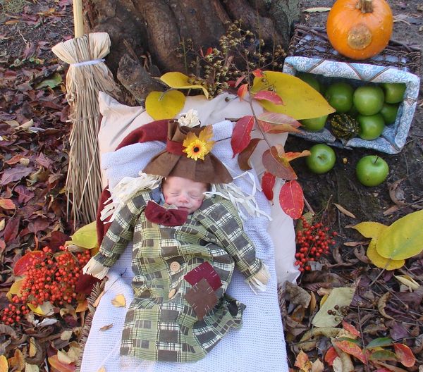 Autumn's Laze Daze