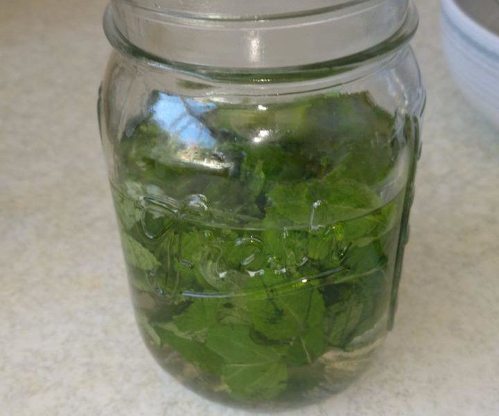 Mojito Rum/ Mint Extract From Fresh Mint 7 Steps Instructables